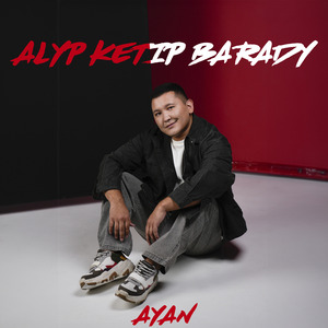 Alyp ketip barady
