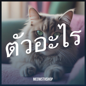 ตัวอะไร