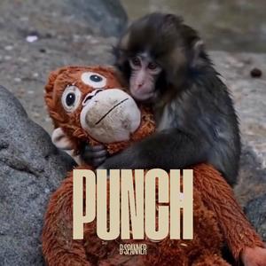 PUNCH