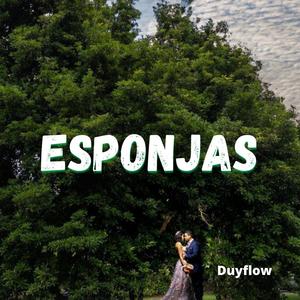 Esponjas