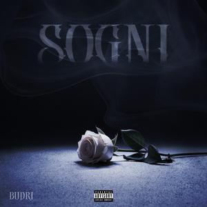 SOGNI