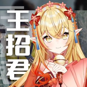 王招君