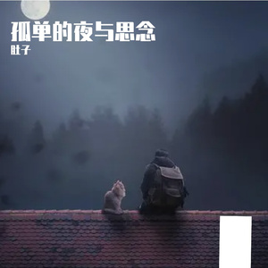 孤单的夜与思念 伴奏