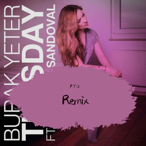 Burak Yeter-Tuesday（P.Y.G remix）