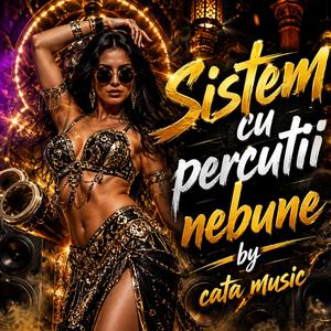 Sistem cu percutii nebune
