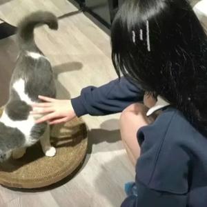 时代进行曲 (Phonk)