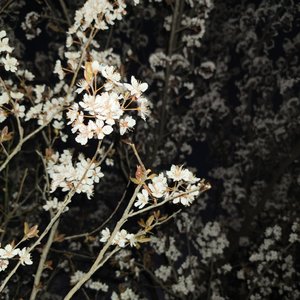 《是再续嘛1.0》