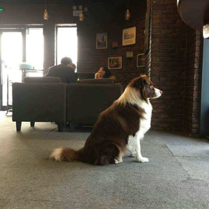 谢谢你在我最美好的年纪留下足迹