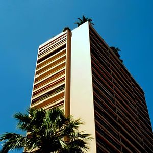 Парадайз Сити