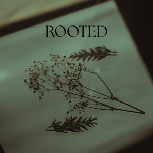 Rooted