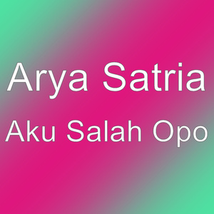 Aku Salah Opo