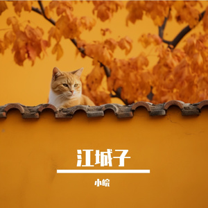 江城子-乙卯正月二十日夜记梦