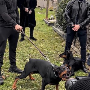 Fruity（3D 环绕版）（Salao remix）