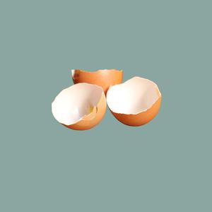 Two Eggs (feat. Beatnik)