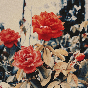 Wisdom