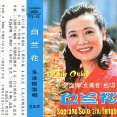 美丽的小蝴蝶