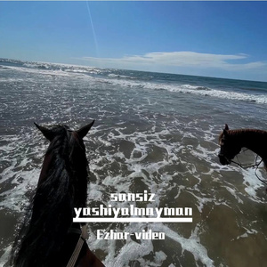 sansiz yashiyalmayman