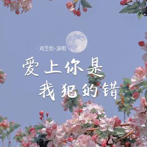 爱上你是我犯的错