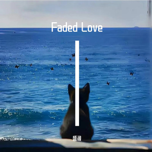 Faded Love