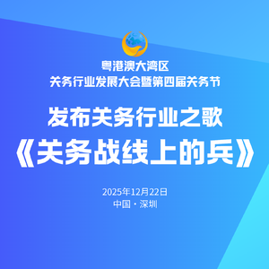 关务战线上的兵