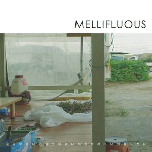 우리 할머니는 입맛이 없다 하시며 자꾸 나이를 드신다