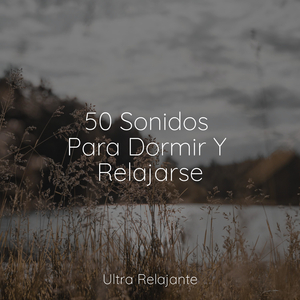 Velas De Viento en El Horizonte