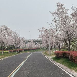 淮安足球.wav