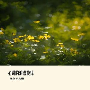 心跳的浪漫旋律