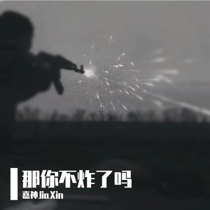 那你不炸了吗（Prod.By 9Zi）