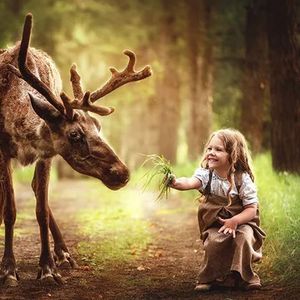 又何惧人生荒凉