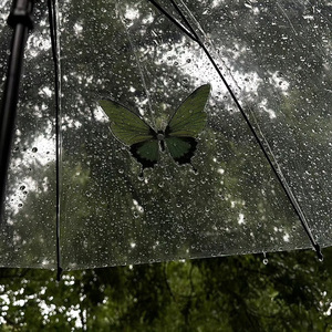 九万字（我也算万种风情实非良人）