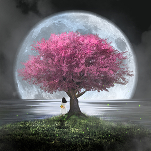 꿈속에서 (Inst.)