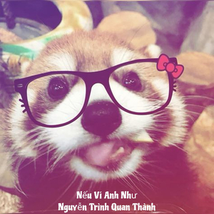 Nếu Ví Anh Như