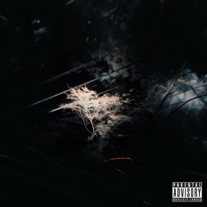 爱制痛(Feat. ESCANORPAINS)