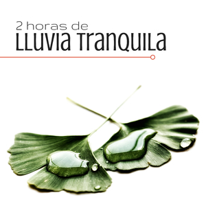 Purificación