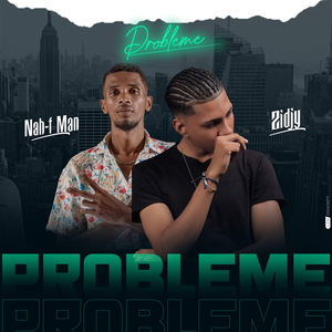 Probleme