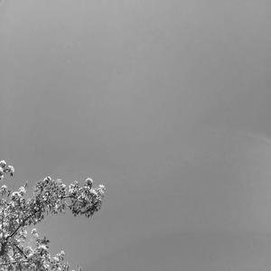Winter Waltz