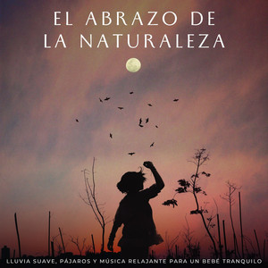 Sueños Tranquilos Del Canto De Los Pájaros