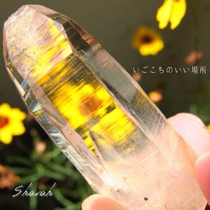 いごこちのいい場所