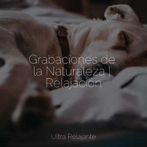 Belleza Conmovedora