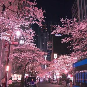 【双声道】江南-3D环绕-8倍音质