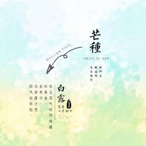 芒种（二胡版）