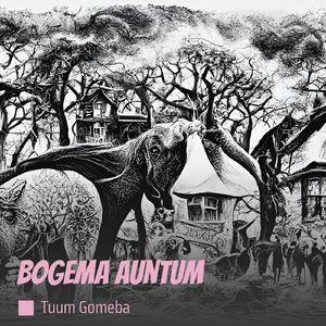 Bogema Auntum