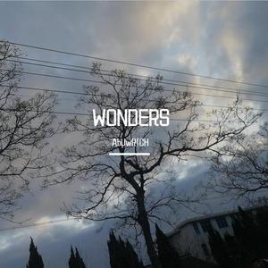 wonders（我想）