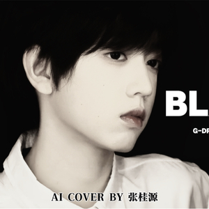 [AI 张桂源] BLACK