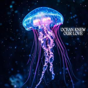 Temporal Dissonance Silhouette