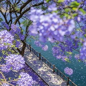 像素级心碎现场