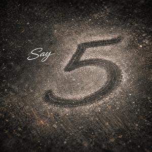 Say 5