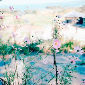 How Not to Trust Your Brain