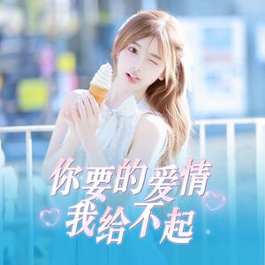 你要的爱情我给不起